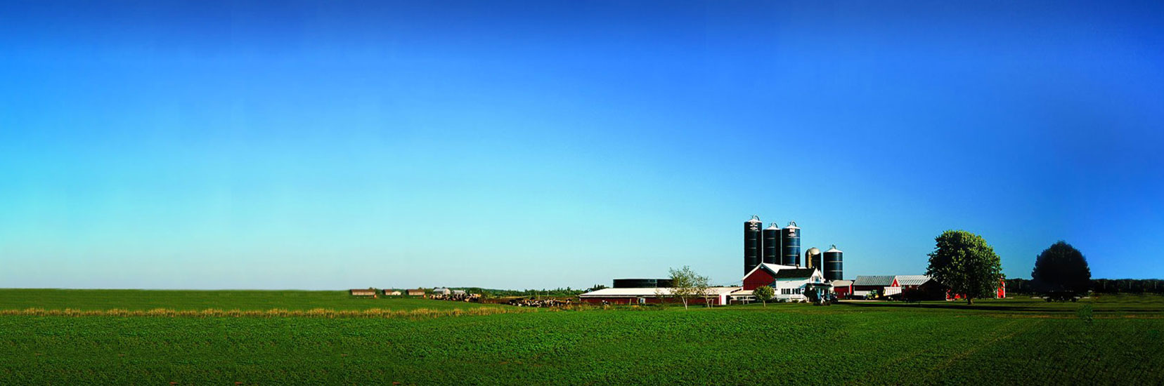 Image of farm